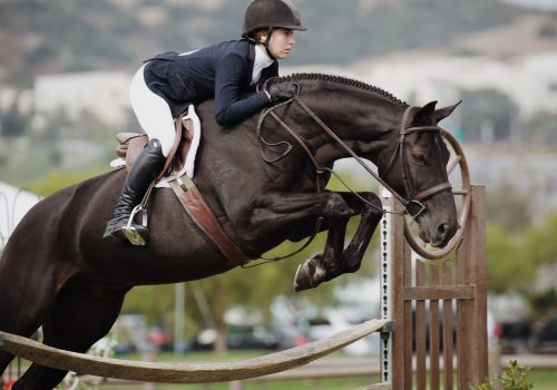 Een ruiter op een paard dat springt over een hindernis